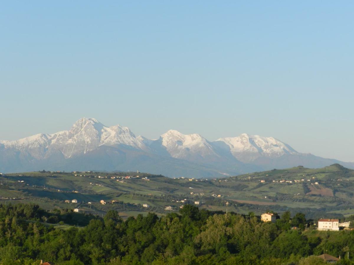 Il Gruccione Bed and Breakfast Sant'Omero Exteriör bild