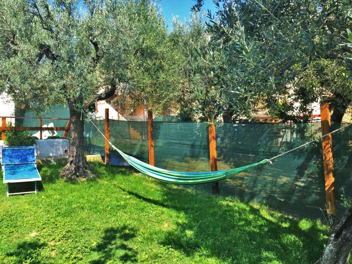 Il Gruccione Bed and Breakfast Sant'Omero Exteriör bild