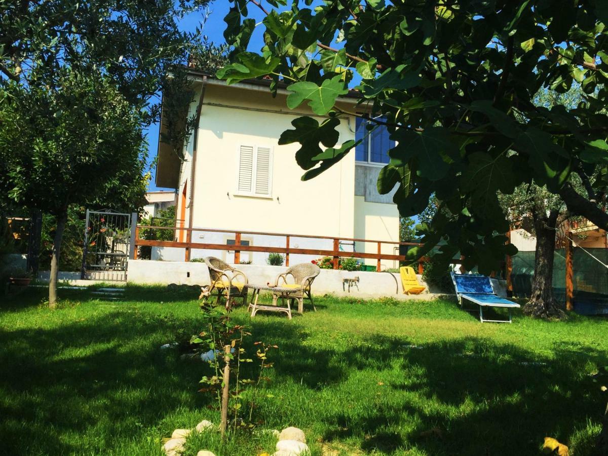 Il Gruccione Bed and Breakfast Sant'Omero Exteriör bild