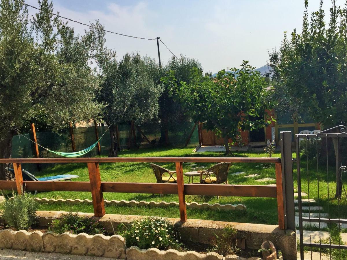 Il Gruccione Bed and Breakfast Sant'Omero Exteriör bild